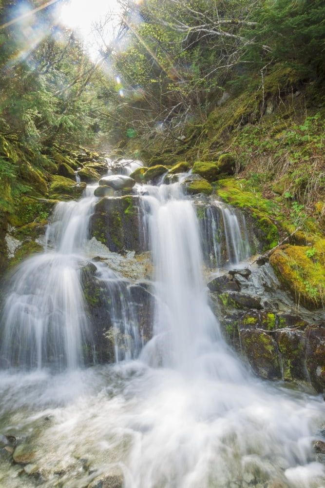 An unnamed waterfall rushes down the Takshanuk Mountains near Haines Alaska United States of America Canvas Art - Zachary Sheldon Design Pics (12 x 19)