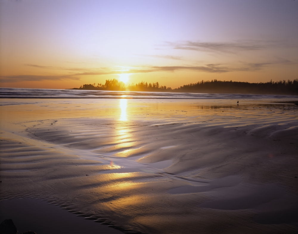unset on Long Beach at low tide Pacific Rim National Park Vancouver Island British Columbia Canada Canvas Art - Panoramic Images (36 x 29)