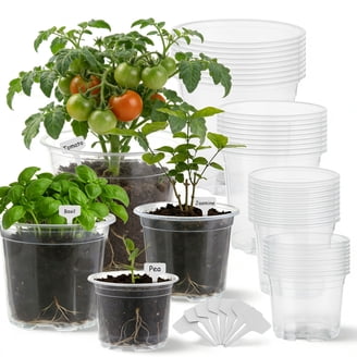 indoor plant pots ceramic Matt White Ceramic Pot Holder | Planter main image 0