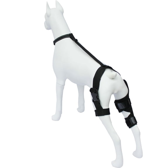 uvwlwu Dog Leg Support Brace for Injury Rehabilitation and Joint Pet Supplies(Black)