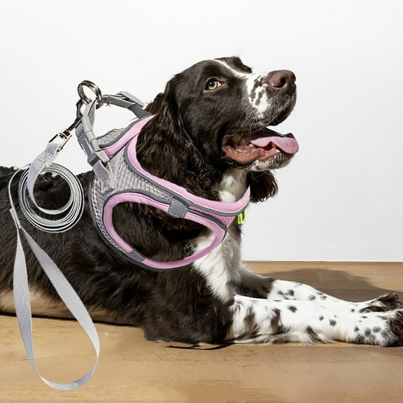 uvwlwu No Pull Dog Harness Vest with Leash Reflective Nylon Walking Jacket Escape Proof Front Clip Design for Large(C)