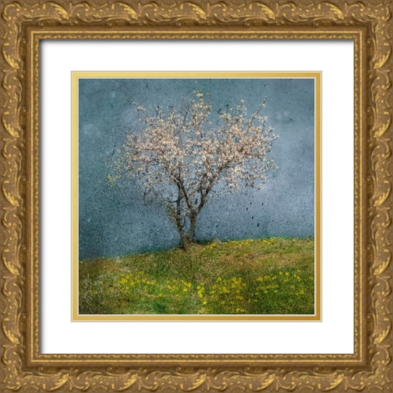 van Bijnen, Jacqueline 20x20 Gold Ornate Wood Framed with Double Matting Museum Art Print Titled - Almond Tree