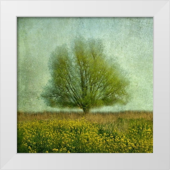 van Bijnen, Jacqueline 26x26 White Modern Wood Framed Museum Art Print Titled - In The Yellow Field