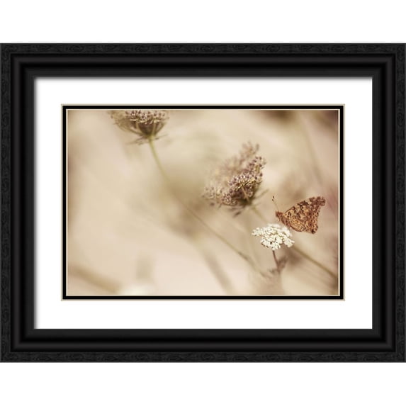 van Deelen, Ellen 32x23 Black Ornate Wood Framed with Double Matting Museum Art Print Titled - Butterfly