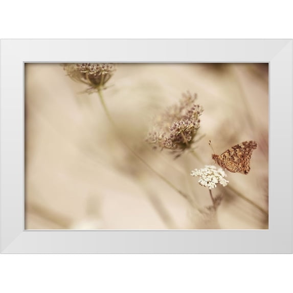 van Deelen, Ellen 32x23 White Modern Wood Framed Museum Art Print Titled - Butterfly