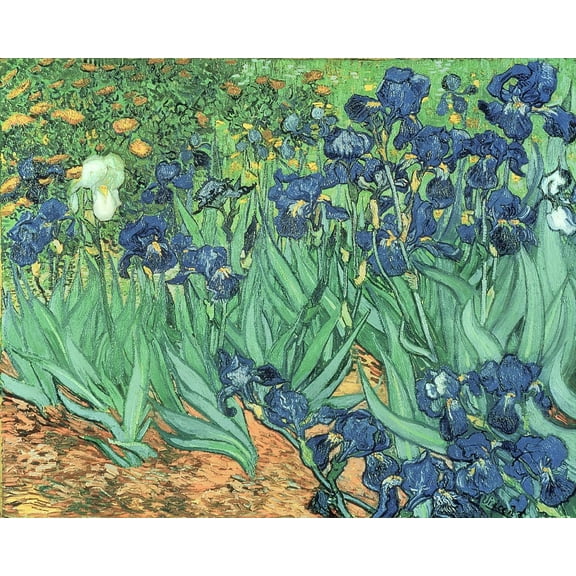 van Gogh "Irises" (1889) Glossy Poster