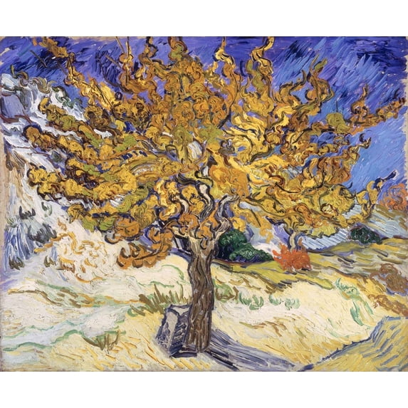 van Gogh "Mulberry Tree" (1889) Glossy Poster