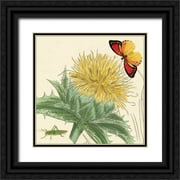 van Houtte, Louis 15x15 Black Ornate Wood Framed with Double Matting Museum Art Print Titled - Star Thistle