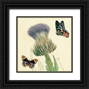 van Houtte, Louis 26x26 Black Ornate Wood Framed with Double Matting Museum Art Print Titled - Field Thistle