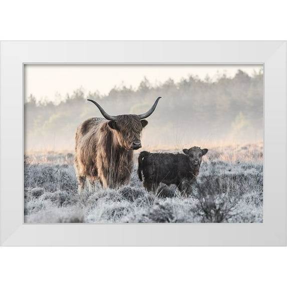 van den, Jaap 32x23 White Modern Wood Framed Museum Art Print Titled - Highlander And Calf