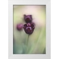 thumbnail image 1 of van marwijk, tonnie 11x14 White Modern Wood Framed Museum Art Print Titled - Projectorlens Photo, 1 of 4