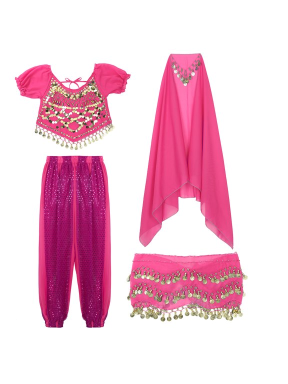 Womens Belly Dance Costume Crop Top Chiffon Harem Pants with Hip Scarf Headscarf Sets Rose One Size