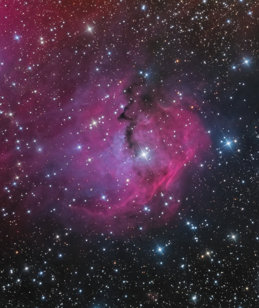 vdB 93 is an emission and reflection nebula in Canis Major Canvas Art - Bob FeraStocktrek Images (26 x 31)
