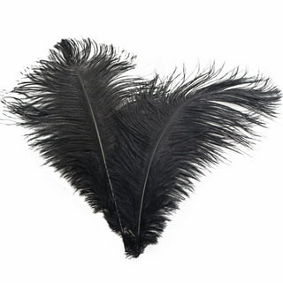 Feather Trim 3X10yd-Black