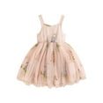thumbnail image 1 of vera natura Baby Girl Princess Dress Sleeveless Floral Embroidery Tulle Dress Toddler Party Dress, 1 of 9