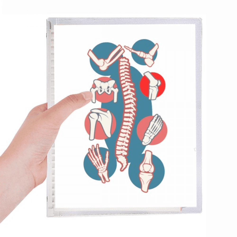 vertebral body joint illustration notebook loose diary refillable ...
