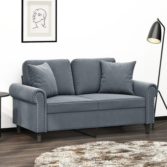 vidaXL 2-Seater Sofa with Throw Pillows Accent Loveseat for Living Room Velvet