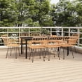 thumbnail image 1 of vidaXL 9 Piece Patio Dining Set Black Poly Rattan, 1 of 10