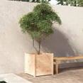 thumbnail image 1 of vidaXL Garden Planters 2 pcs Black 23.6"x23.6"x23.6" Solid Wood Pine, 1 of 8