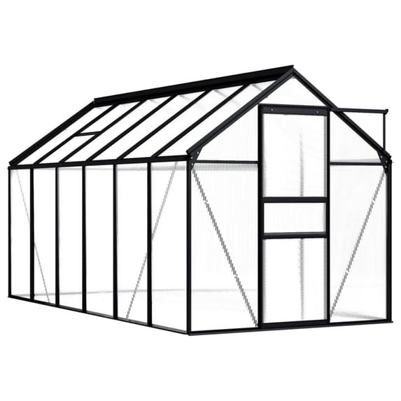 vidaXL Greenhouse Anthracite Aluminum 75.7 ft