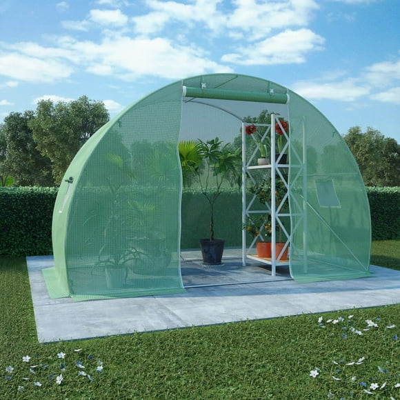 Modern greenhouse with ventilation and shelving systems