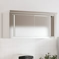 thumbnail image 1 of vidaXL Kitchen Wall Cabinet with Shelf Storage Restaurant Stainless Steel, 1 of 2