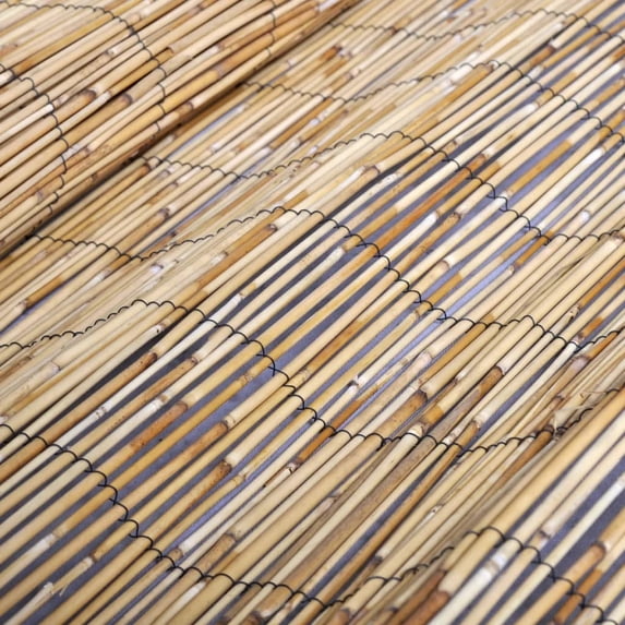 vidaXL Garden Reed Fence 196.9"x66.9"