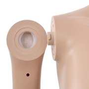 vidaXL Beige Adult Female Mannequin 70.9 Polypropylene with Glass Base