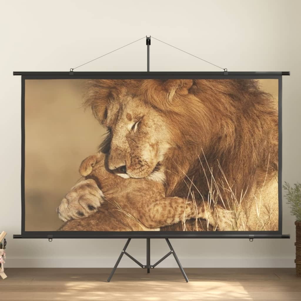 vidaXL projection screen Home Theater Screen Pull-down Projector Screen ...