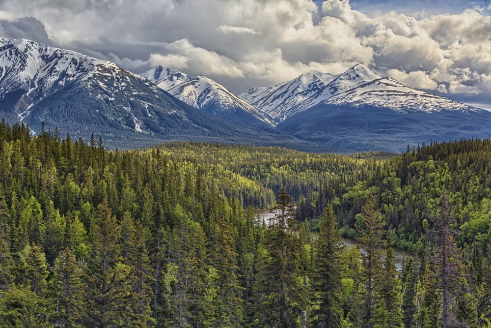 A viewpoint along the Stewart Cassiar Highway shows the Coast Mountains which form part of the Rocky Mountains British Columbia Canada Canvas Art - Robert Postma Design Pics (19 x 12)