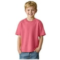 thumbnail image 1 of vigerkar Youth Short Sleeve Tee Active Cotton T-Shirt Crewneck Tee for Boys (Pink, 4-5 Years), 1 of 8