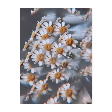 visions of you - Photography Floral Flowers Abstract Vintage Nature Psychedelic Botanical Unframed Wall Art Print 5 x 7 inches price history and forecast - FRAMER GALLERY