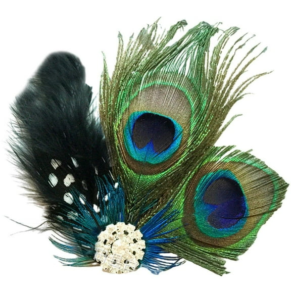 vlrwzc Peacock Feathers Hair Clips Women Gatsby Hair Feather Headband with Rhinestones 1920s Hair Accessories Fascinator Headpiece for Wedding Party
