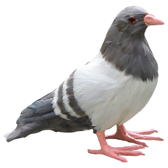 vlrwzc Pigeon Statue Animal Figurine Artwork Craft Realistic Dove Sculpture Garden Statues For Party Landscape Hallway Yard Balcony
