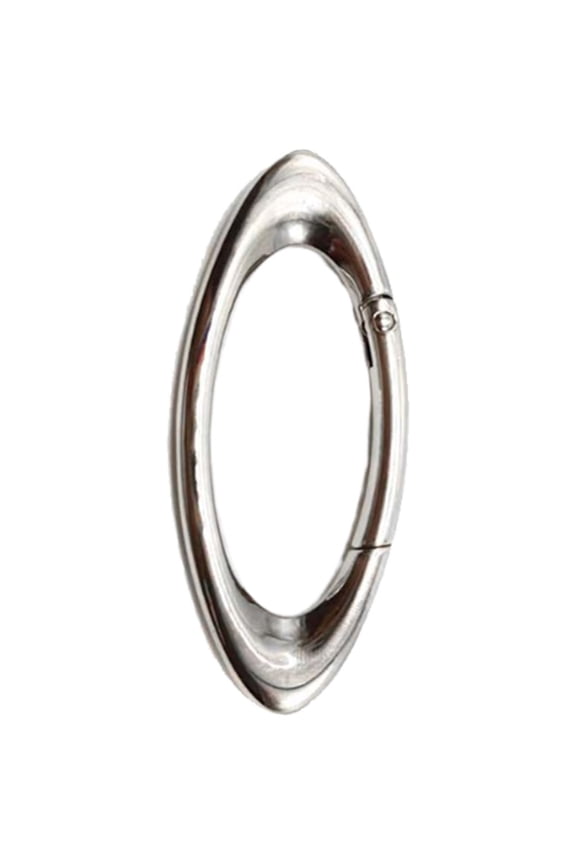 Y2K Carabiner Keychain,Oval Carabiner Clip, Mini Locking Clips Snap Hook, Push Spring Closure for Hiking Outdoor,Car Key Ring Backpack