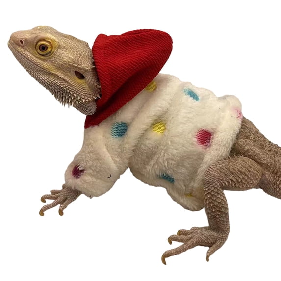 vnanda Washable Wear-resistant Pet Clothes Adjustable Lizard Clothing Hoodie T-shirt with Fastener Tape Soft Breathable Durable Pet for Small for Lizards