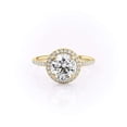 thumbnail image 1 of vylahjewellery Round Cut Halo Moissanite Engagement Ring for Women 10K Vermeil Yellow Gold Diamond Promise Anniversary Bridal Jewelry Gift for Her Pave Wedding Rings, 1 of 7