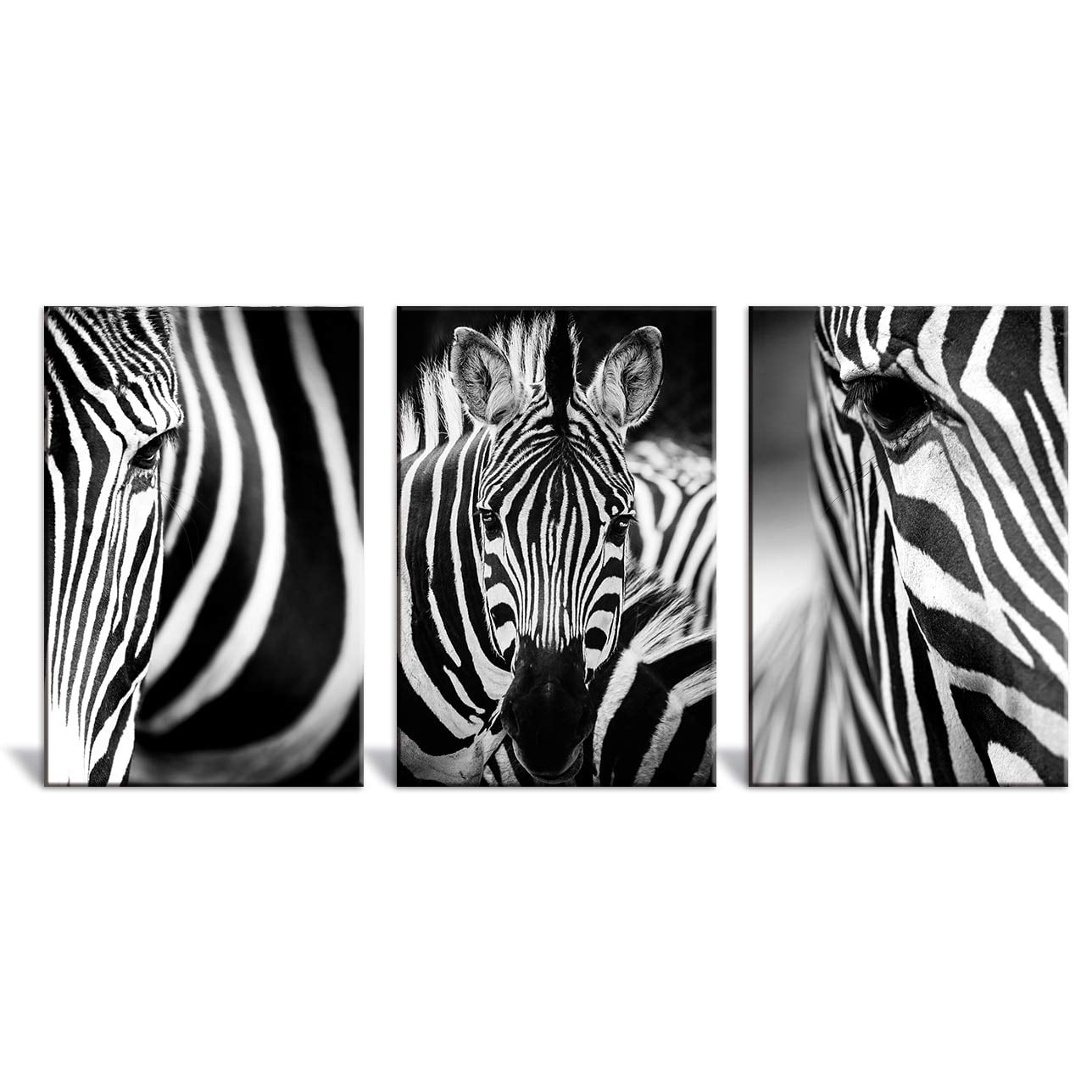 wall26 - 3 Panel Canvas Wall Art - Close Up of Zebras in Black and ...