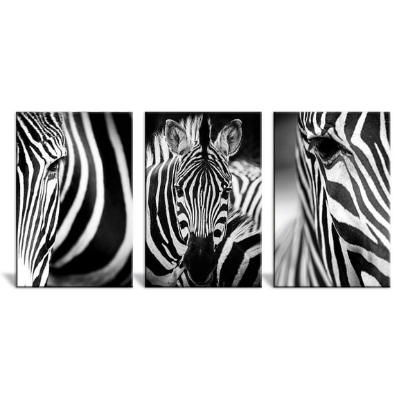 wall26 - 3 Panel Canvas Wall Art - Close Up of Zebras in Black and White - Giclee Print Gallery Wrap Modern Home Art Ready to Hang - 24"x36" x 3 Panels