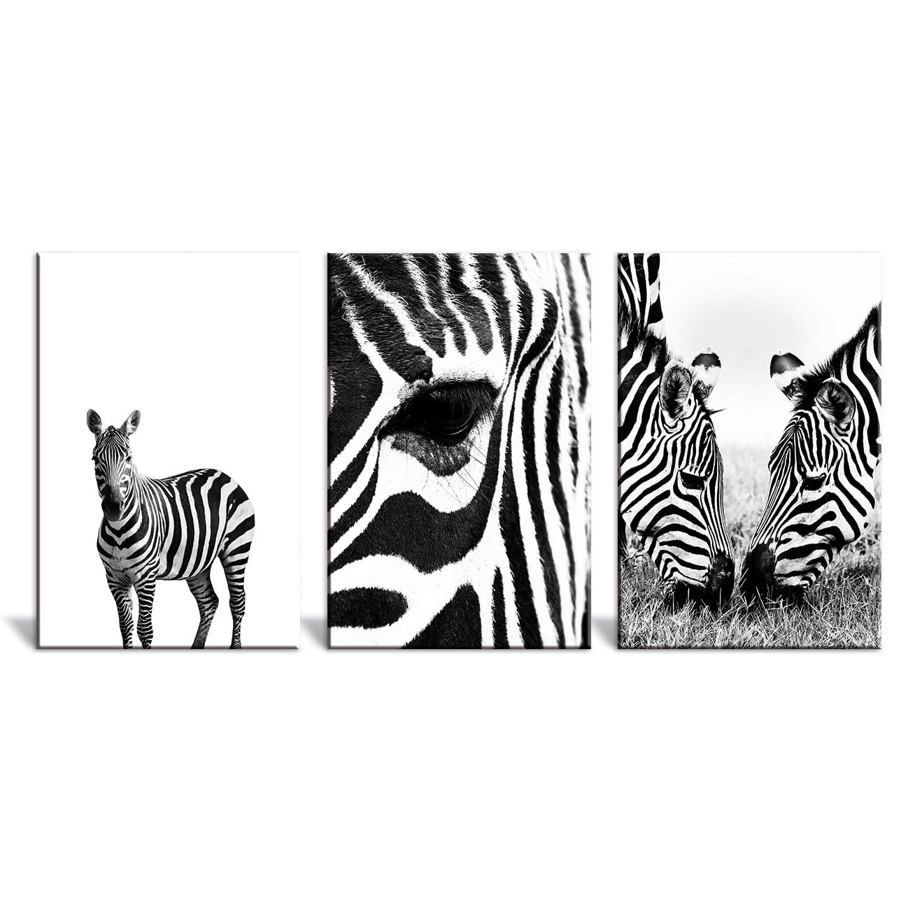 wall26 - 3 Panel Canvas Wall Art - Close Up of Zebras in Black and ...