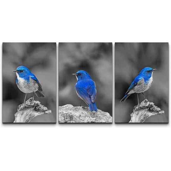 wall26 3 Panel Canvas Wall Art - Color Splash of Blue Bird with Black and White Background - Giclee Print Gallery Wrap Modern Home Art Ready to Hang - 16"x24" x 3 Panels
