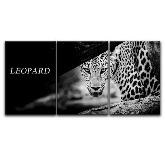 wall26 - 3 Panel Canvas Wall Art - Leopard in Black and White - Giclee Print Gallery Wrap Modern Home Art Ready to Hang - 24"x36" x 3 Panels