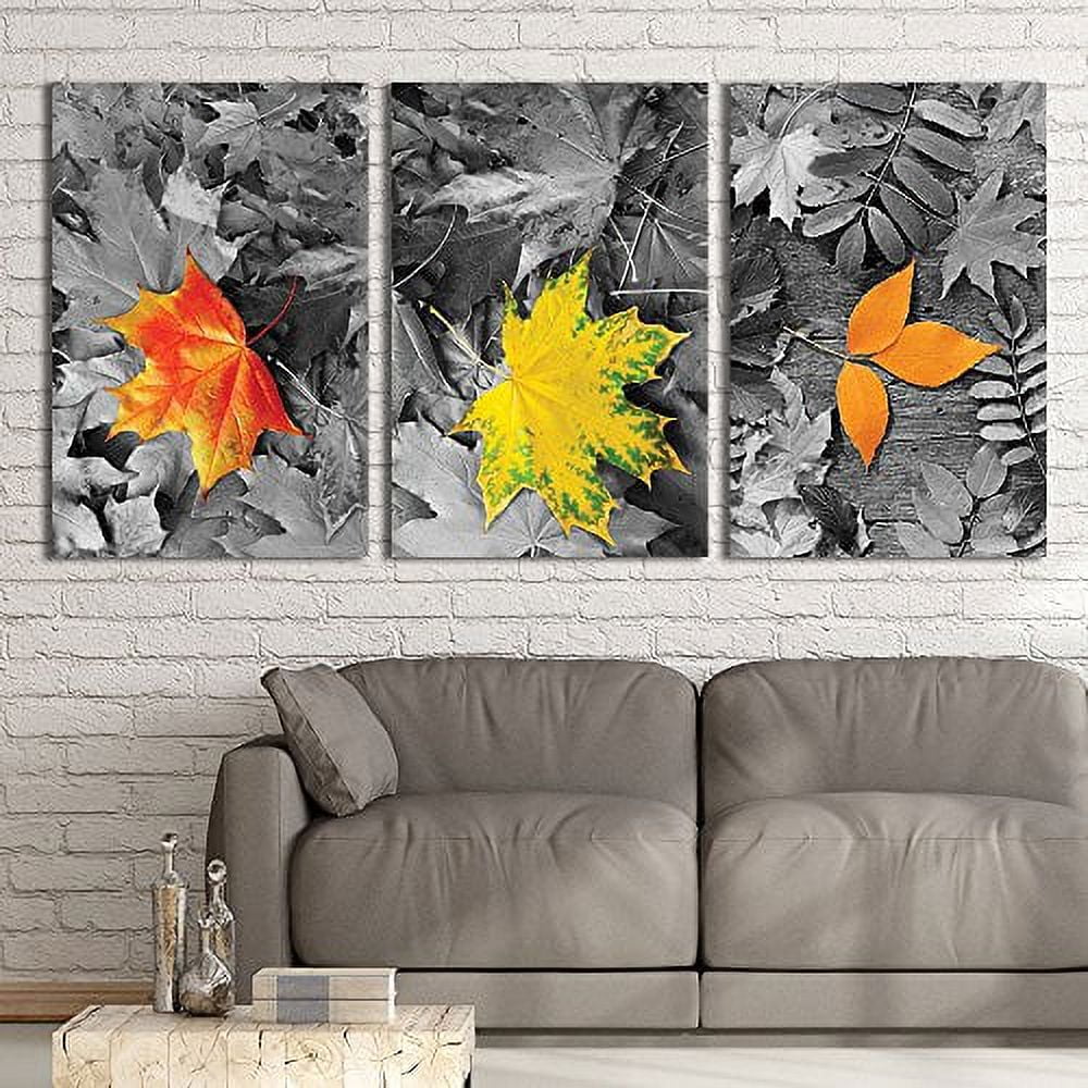 wall26 3 Panel Canvas Wall Art - Touch of Color Flowers on Black