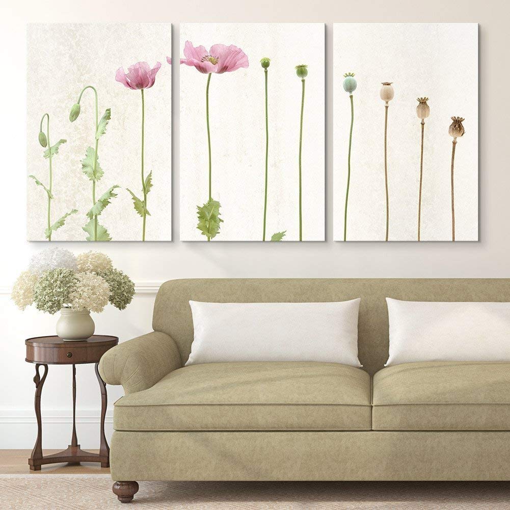 wall26-3 Panel Canvas Wall Art - Poppy Flowers and Poppy Seed Pods ...