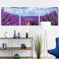 thumbnail image 1 of wall26 3 Panel Canvas Wall Art Romantic Lavender Pictures Home Wall Decorations for Bedroom Living Room Paintings Canvas Prints Framed - 16"x16"x3 Panels, 1 of 4