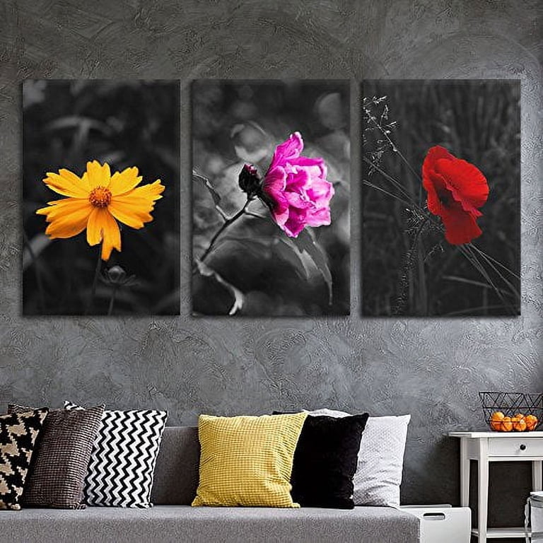 Black And White Art With A Touch Of Color