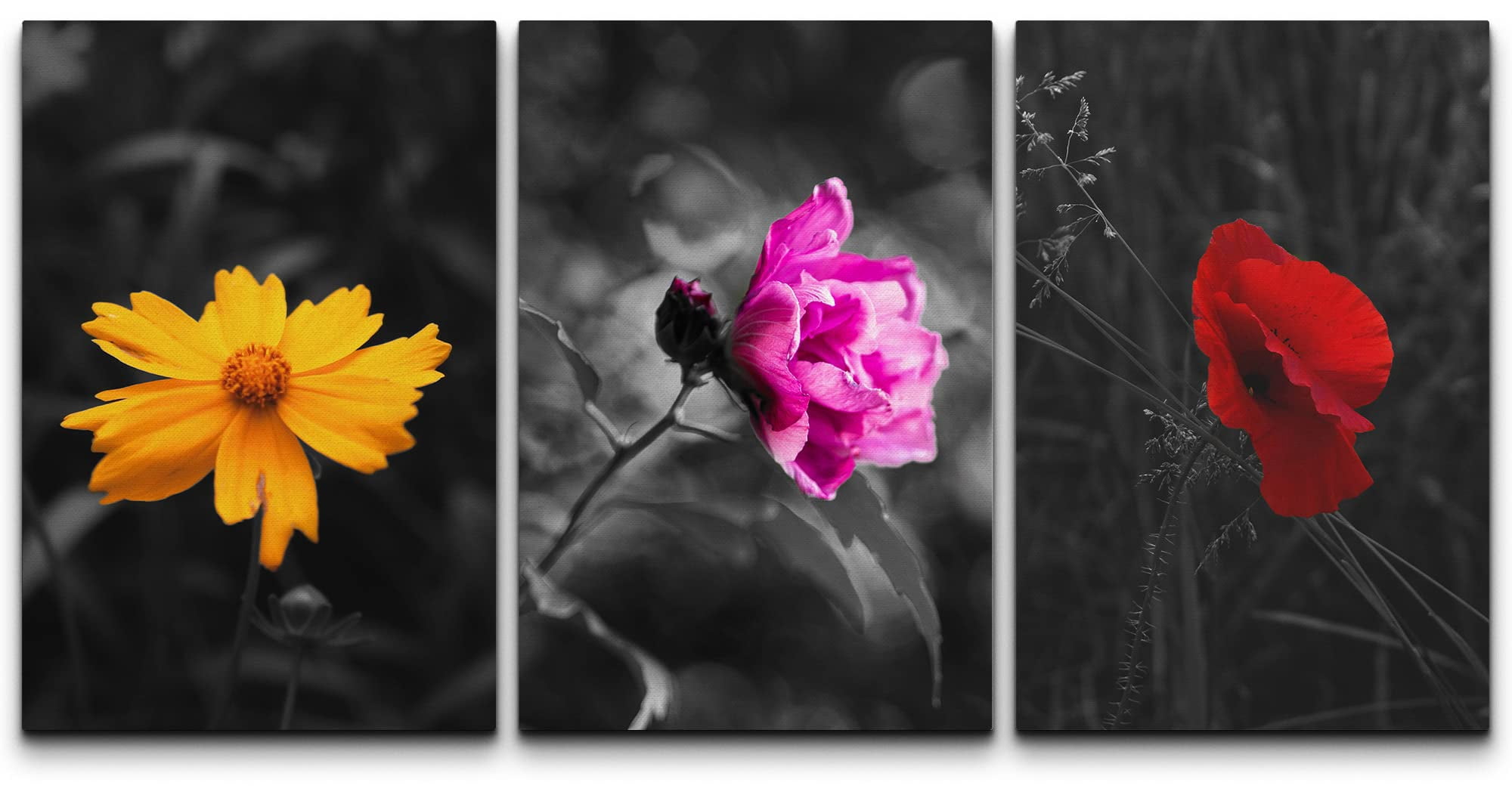 wall26 3 Panel Canvas Wall Art - Touch of Color Flowers on Black and ...
