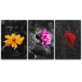 thumbnail image 1 of wall26 3 Panel Canvas Wall Art - Touch of Color Flowers on Black and White Background - Giclee Print Gallery Wrap Modern Home Art Ready to Hang - 16"x24" x 3 Panels, 1 of 5