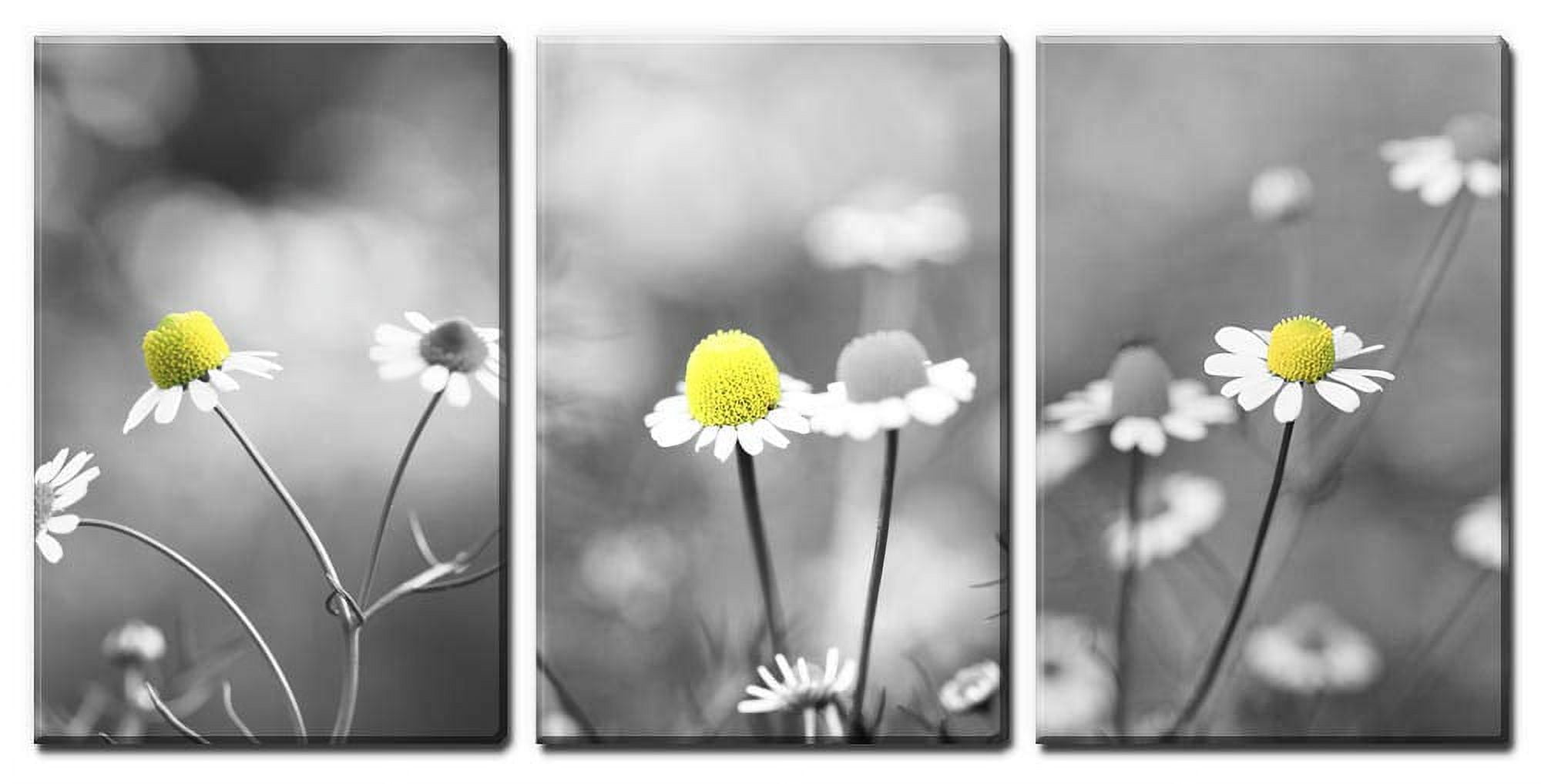 wall26 - 3 Panel Canvas Wall Art - Yellow Flowers Against Black and ...