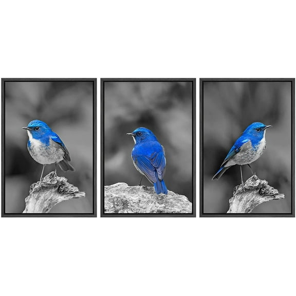wall26 3 Panel Framed Canvas Wall Art - Color Splash of Blue Bird with Black and White Background - Giclee Print Gallery Wrap Modern Home Art Ready to Hang - 16"x24"x3 Black